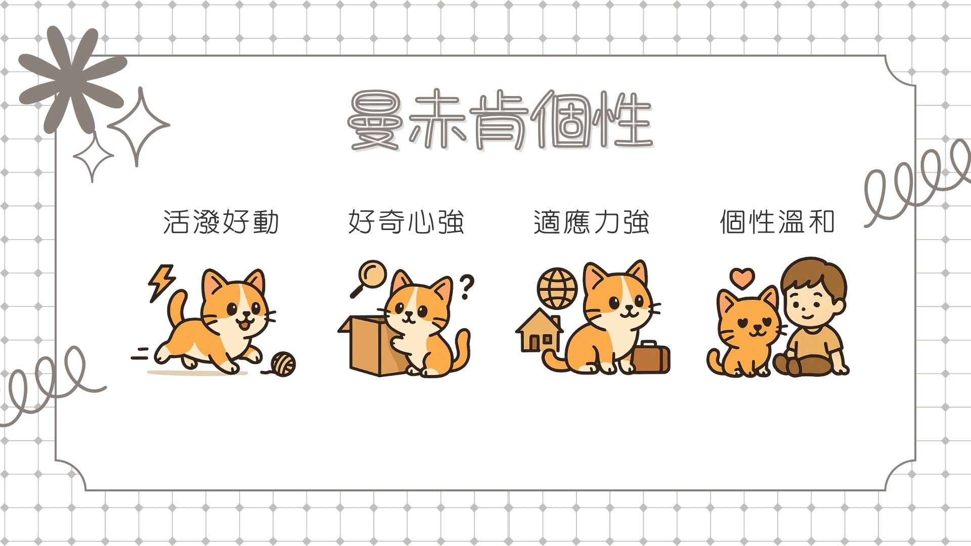 曼赤肯個性