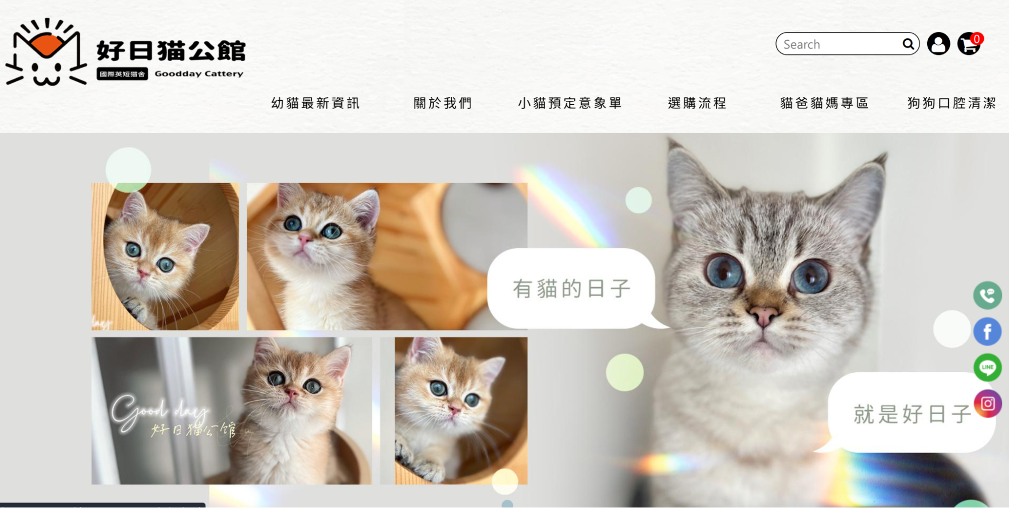 好日貓