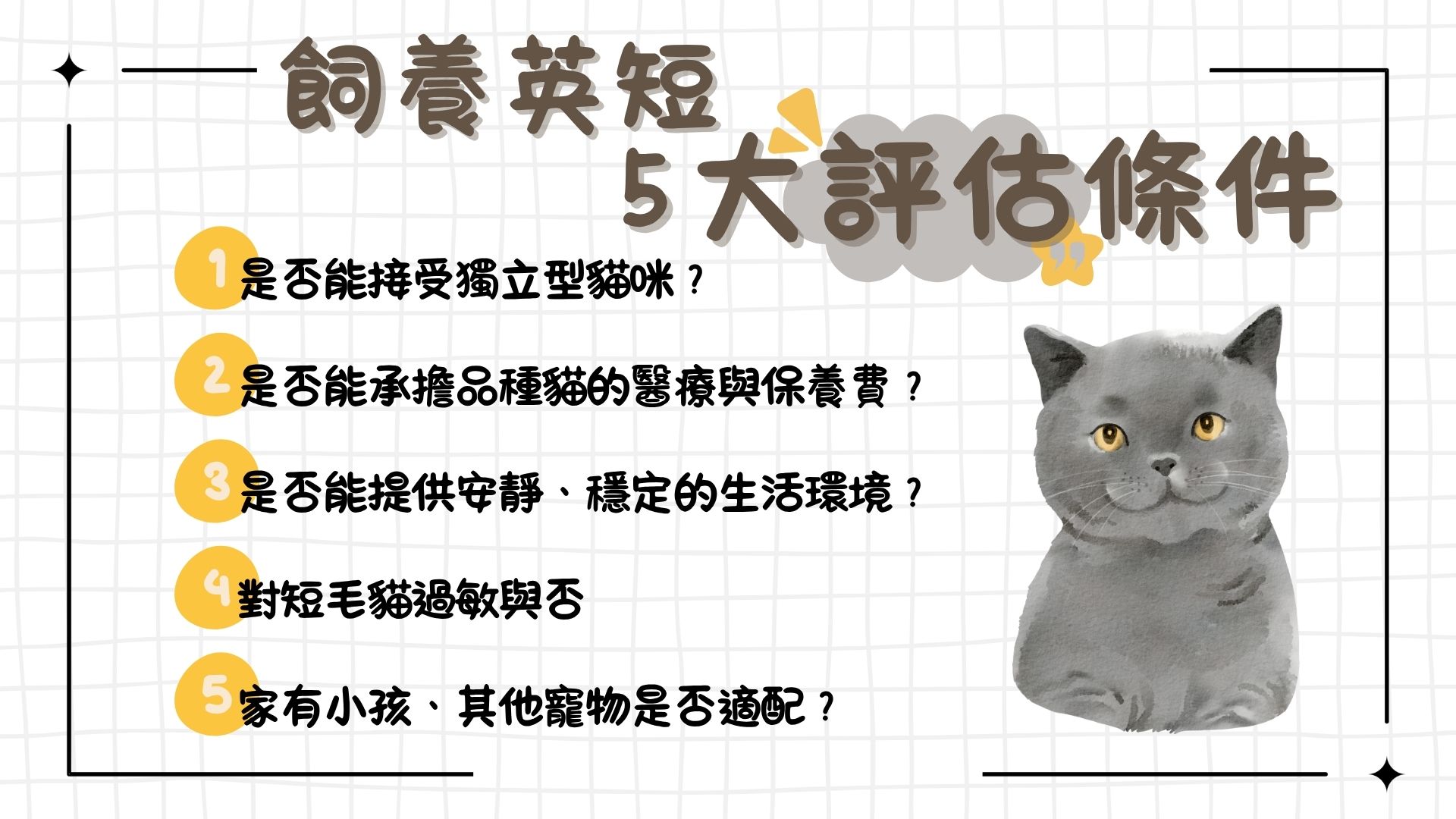 飼養英短評估條件
