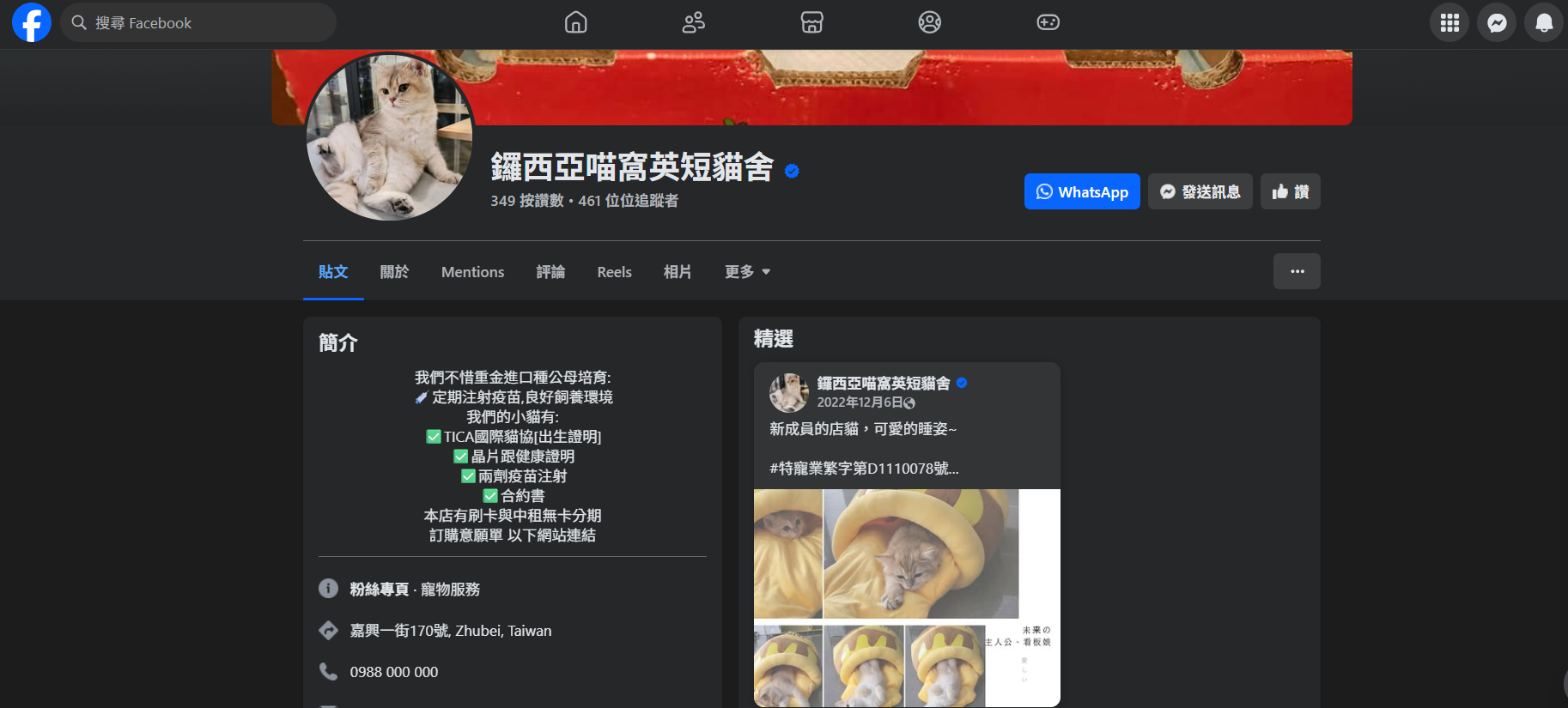 鑼西亞喵窩英短專賣店