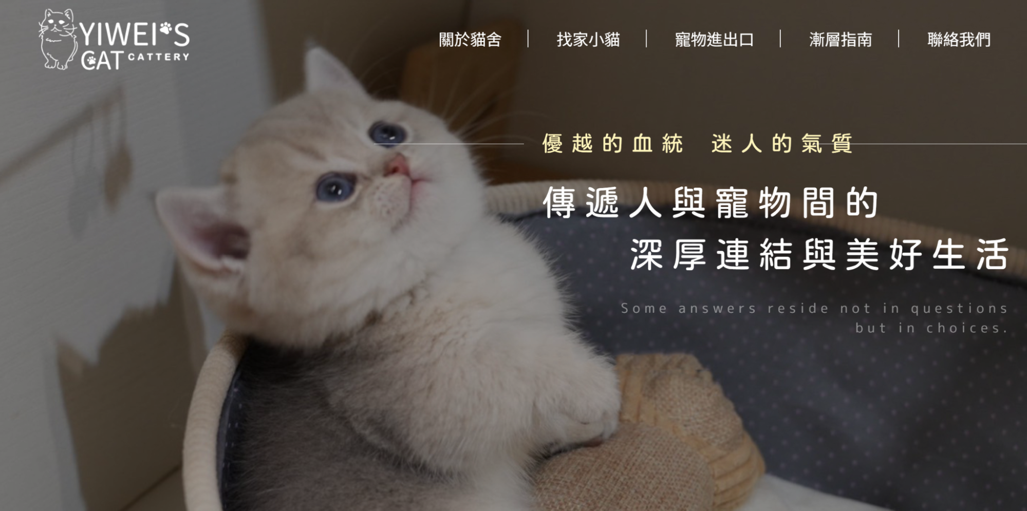 詒瑋的貓舍；台中貓舍