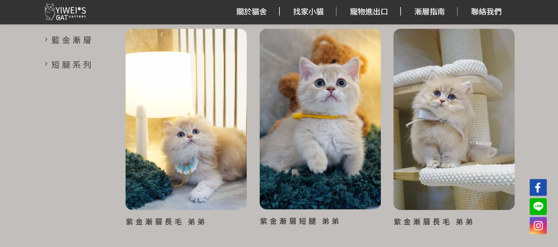 詒瑋的貓舍;貓舍推薦